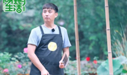 吃瓜爆料刘宪华何炅